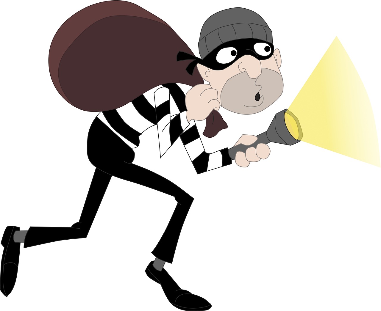 Theft from Sheds