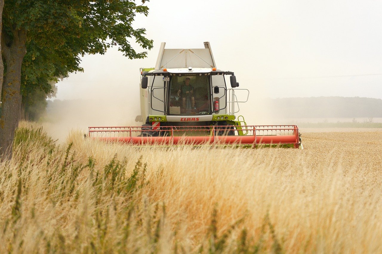 Harvest Supper